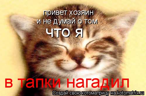 привет хозяин и не думай о том что я в тапки нагадил... Котоматрица: привет хозяин и не думай о том что я в тапки нагадил