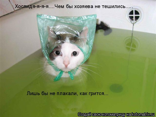 Хоспидя-я-я-я....Чем бы хозяева не тешились..... Лишь бы не плакали, как грится...... Котоматрица: Хоспидя-я-я-я....Чем бы хозяева не тешились..... Лишь бы не плакали, как грится...