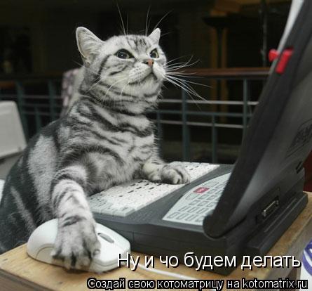 Ну и чо будем делать... Котоматрица: Ну и чо будем делать