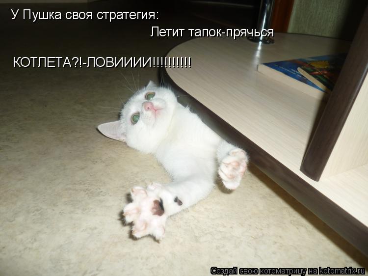 У Пушка своя стратегия: Летит тапок-прячься КОТЛЕТА?!-ЛОВИИИИ!!!!!!!!!!... Котоматрица: У Пушка своя стратегия: Летит тапок-прячься КОТЛЕТА?!-ЛОВИИИИ!!!!!!!!!!