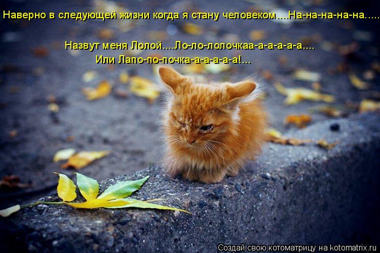 Наверно в следующей жизни когда я стану человеком....На-на-на-на-на..... Назвут меня Лолой....Ло-ло-... Котоматрица: Наверно в следующей жизни когда я стану человеком....На-на-на-на-на..... Назвут меня Лолой....Ло-ло-лолочкаа-а-а-а-а-а.... Или Лапо-по-почка-а-а-а-а-