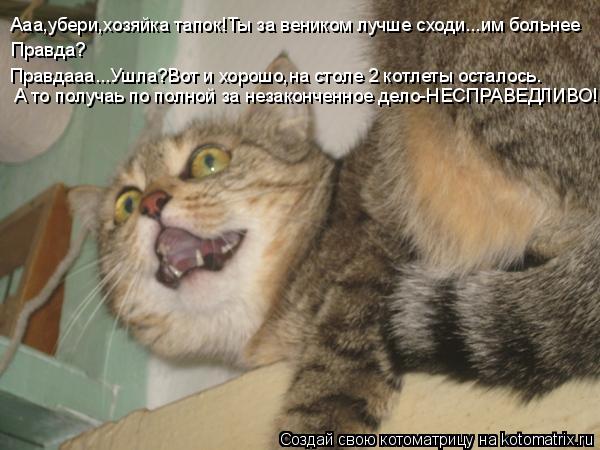 Ааа,убери,хозяйка тапок!Ты за веником лучше сходи...им больнее Правда? Правдааа...Ушла?Вот и хорошо,н... Котоматрица: Ааа,убери,хозяйка тапок!Ты за веником лучше сходи...им больнее Правда? Правдааа...Ушла?Вот и хорошо,на столе 2 котлеты осталось. А то получаь п