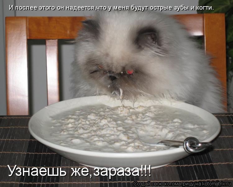 И послее этого он надеется,что у меня будут острые зубы и когти. Узнаешь же,зараза!!!... Котоматрица: И послее этого он надеется,что у меня будут острые зубы и когти. Узнаешь же,зараза!!!
