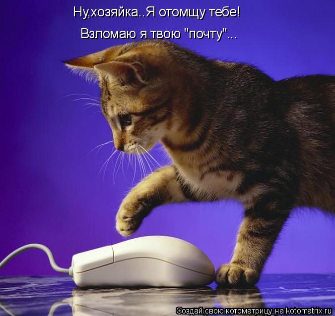 Ну,хозяйка..Я отомщу тебе! Взломаю я твою "почту"...... Котоматрица: Ну,хозяйка..Я отомщу тебе! Взломаю я твою "почту"...
