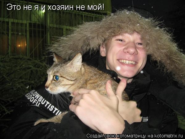 Это не я и хозяин не мой!... Котоматрица: Это не я и хозяин не мой!
