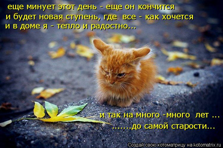 еще минует этот день - еще он кончится и будет новая ступень, где все - как хочется и в доме я - теп... Котоматрица: еще минует этот день - еще он кончится и будет новая ступень, где все - как хочется и в доме я - тепло и радостно... и так на много -много лет ... .