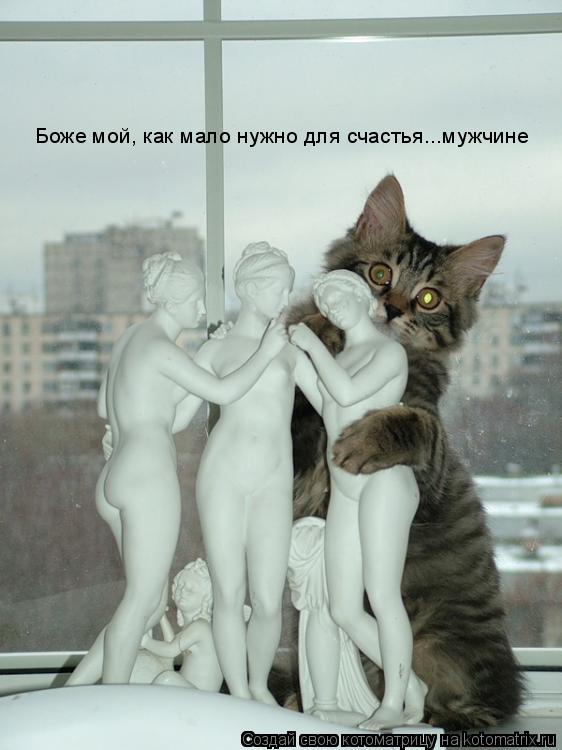 Боже мой, как мало нужно для счастья...мужчине... Котоматрица: Боже мой, как мало нужно для счастья...мужчине