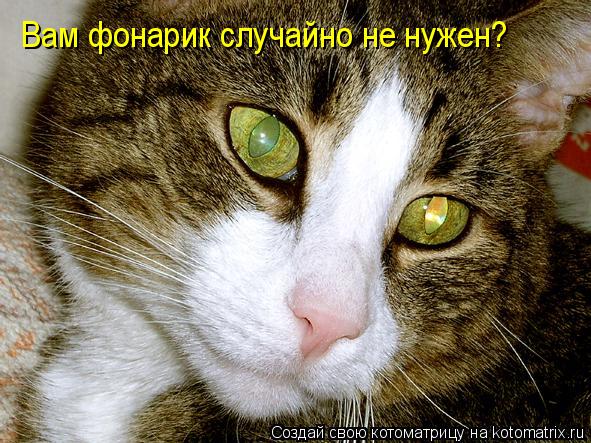 Вам фонарик случайно не нужен?... Котоматрица: Вам фонарик случайно не нужен?