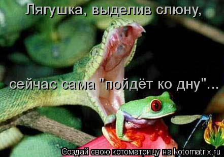 сейчас сама "пойдёт ко дну"... Лягушка, выделив слюну,... Котоматрица: сейчас сама "пойдёт ко дну"... Лягушка, выделив слюну,