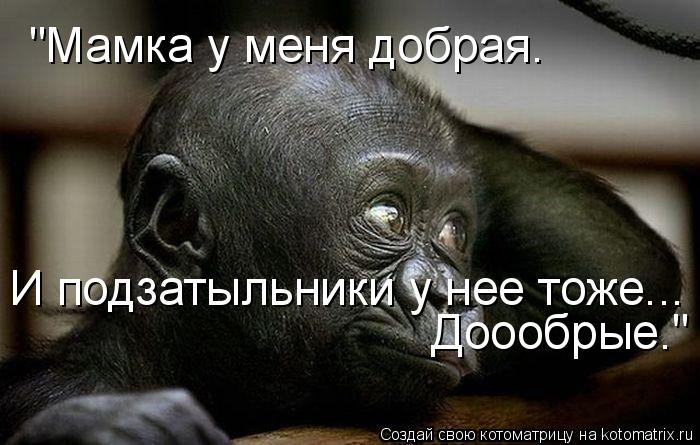 "Мамка у меня добрая. И подзатыльники у нее тоже... Доообрые."... Котоматрица: "Мамка у меня добрая. И подзатыльники у нее тоже... Доообрые."