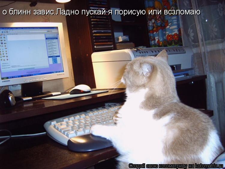 о блинн завис.Ладно пускай я порисую или всзломаю... Котоматрица: о блинн завис.Ладно пускай я порисую или всзломаю
