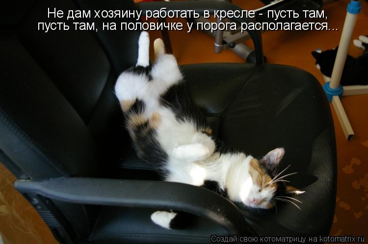 Не дам хозяину работать в кресле - пусть там, пусть там, на половичке у порога располагается...... Котоматрица: Не дам хозяину работать в кресле - пусть там, пусть там, на половичке у порога располагается...