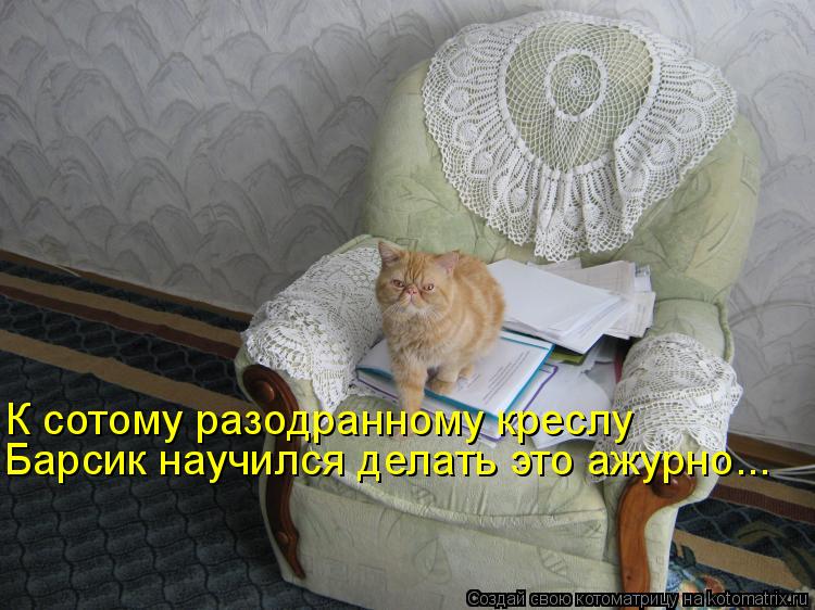 К сотому разодранному креслу Барсик научился делать это ажурно...... Котоматрица: К сотому разодранному креслу Барсик научился делать это ажурно...