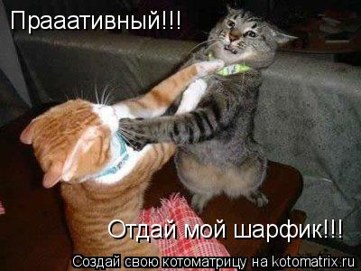 Прааативный!!! Отдай мой шарфик!!!... Котоматрица: Прааативный!!! Отдай мой шарфик!!!