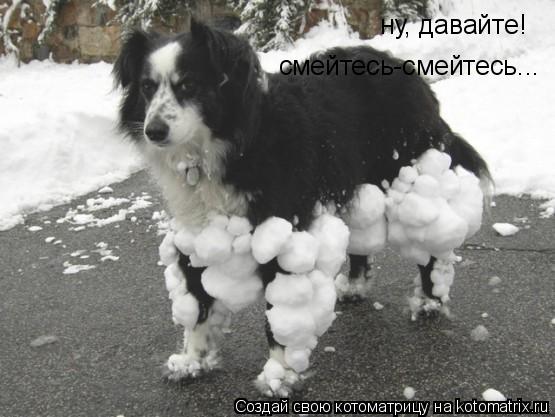 ну, давайте! смейтесь-смейтесь...... Котоматрица: ну, давайте! смейтесь-смейтесь...