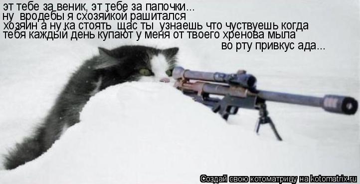 эт тебе за веник, эт тебе за папочки... ну вродебы я схозяйкой рашитался хозяин а ну ка стоять щас ... Котоматрица: эт тебе за веник, эт тебе за папочки... ну вродебы я схозяйкой рашитался хозяин а ну ка стоять щас ты узнаешь что чуствуешь когда тебя кажды