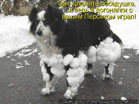 - Зря хохочите соседушка, я ведь в догонялки с вашим Персиком играл!... Котоматрица: - Зря хохочите соседушка, я ведь в догонялки с вашим Персиком играл!