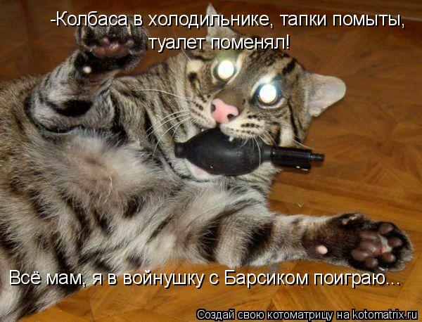 Котоматрица: -Колбаса в холодильнике, тапки помыты,  туалет поменял! Всё мам, я в войнушку с Барсиком поиграю...