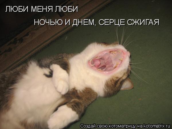 ЛЮБИ МЕНЯ ЛЮБИ ЛЮБИ МЕНЯ ЛЮБИ НОЧЬЮ И ДНЕМ, СЕРЦЕ СЖИГАЯ... Котоматрица: ЛЮБИ МЕНЯ ЛЮБИ ЛЮБИ МЕНЯ ЛЮБИ НОЧЬЮ И ДНЕМ, СЕРЦЕ СЖИГАЯ