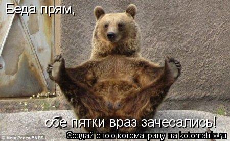 Котоматрица: Беда прям, обе пятки враз зачесались!
