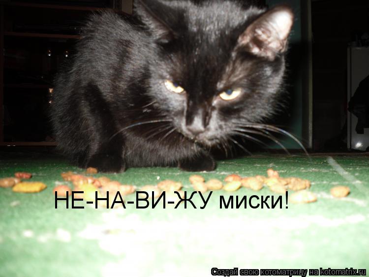 НЕ-НА-ВИ-ЖУ миски!... Котоматрица: НЕ-НА-ВИ-ЖУ миски!