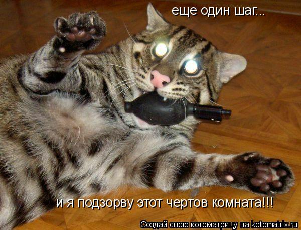 еще один шаг... и я подзорву этот чертов комната!!!... Котоматрица: еще один шаг... и я подзорву этот чертов комната!!!