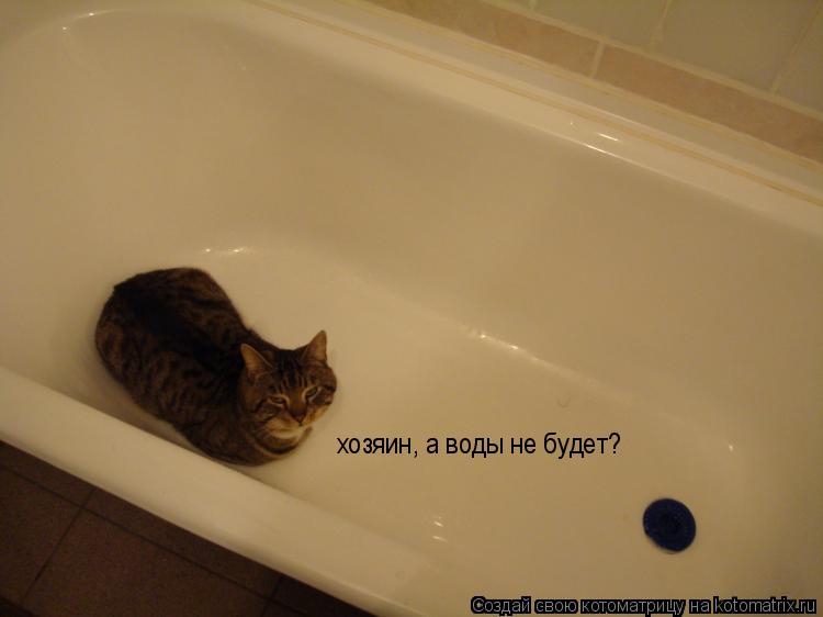 Котоматрица: хозяин, а воды не будет?