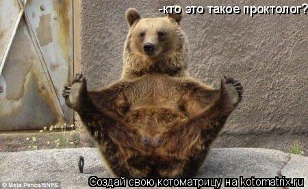 Котоматрица: -кто это такое проктолог?