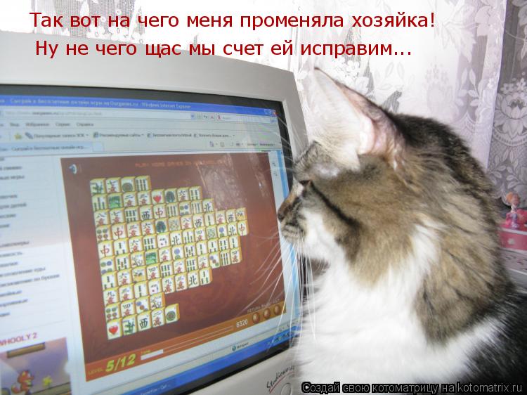 Котоматрица: Так вот на чего меня променяла хозяйка! Ну не чего щас мы счет ей исправим...