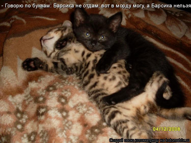 Котоматрица: - Говорю по буквам: Барсика не отдам, вот в морду могу, а Барсика нельзя