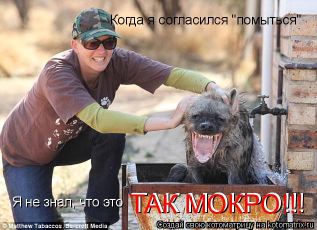 Котоматрица: Когда я согласился "помыться" Я не знал, что это  ТАК МОКРО!!! ТАК МОКРО!!!