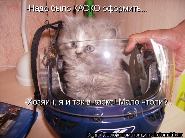 Котоматрица: -Надо было КАСКО оформить... -Хозяин, я и так в каске! Мало чтоли?..