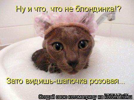 Котоматрица: Ну и что, что не блондинка!? Зато видишь-шапочка розовая...
