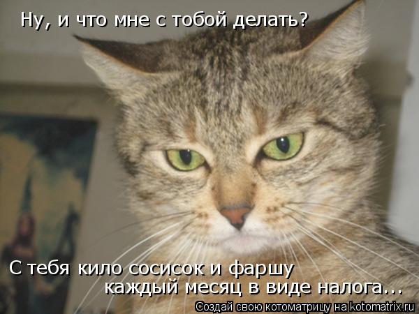 Котоматрица: Ну, и что мне с тобой делать? С тебя кило сосисок и фаршу  каждый месяц в виде налога...