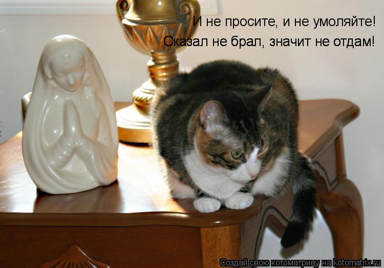 Котоматрица: И не просите, и не умоляйте! Сказал не брал, значит не отдам! Сказал не брал, значит не отдам!