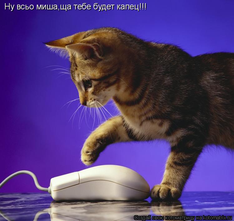 Котоматрица: Ну всьо миша,ща тебе будет капец!!!