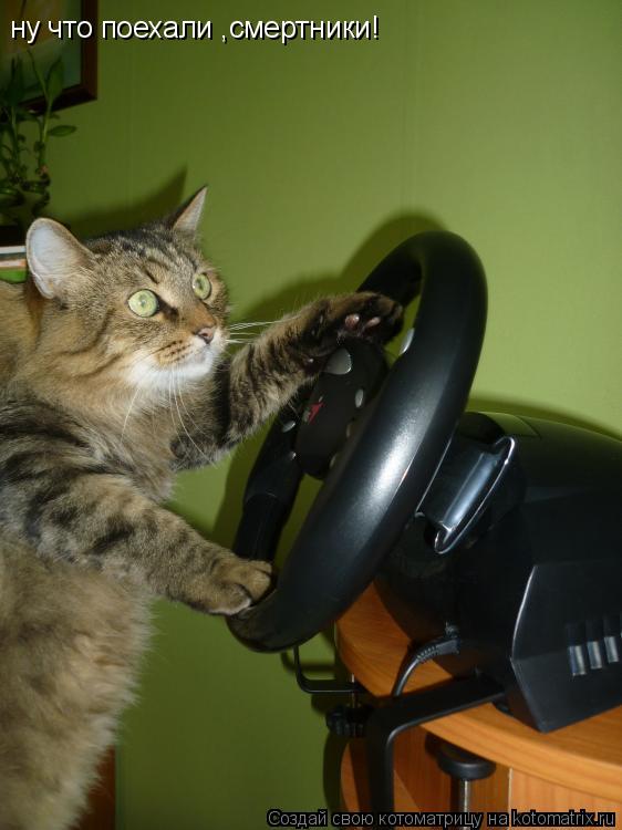 Котоматрица: ну что поехали ,смертники!