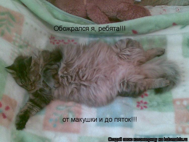 Обожрался я, ребята!!! от макушки и до пяток!!!... Котоматрица: Обожрался я, ребята!!! от макушки и до пяток!!!