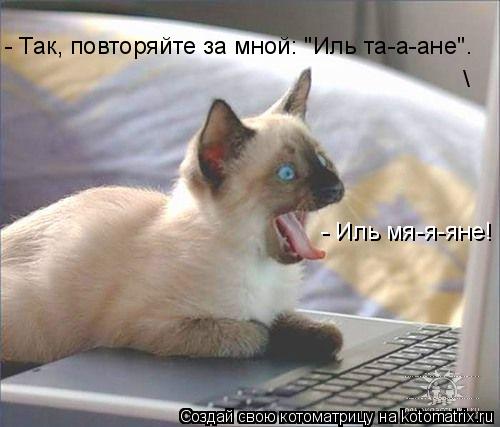 Котоматрица: - Так, повторяйте за мной: "Иль та-а-ане". \ - Иль мя-я-яне!