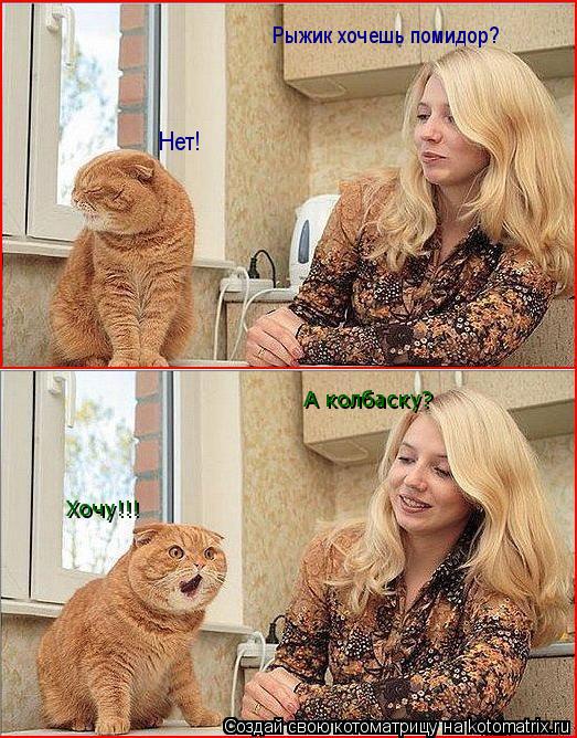 Котоматрица: Рыжик хочешь помидор? Нет! А колбаску? Хочу!!!