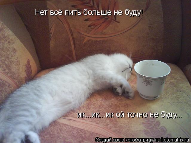 Котоматрица: Нет всё пить больше не буду! ик...ик...ик ой точно не буду...