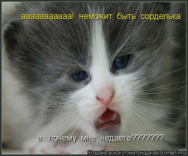 Котоматрица: ааааааааааа!  неможит  быть  сорделька а   почему  мне  недаете???????