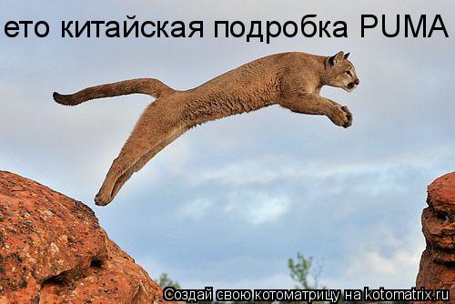 Котоматрица: ето китайская подробка PUMA