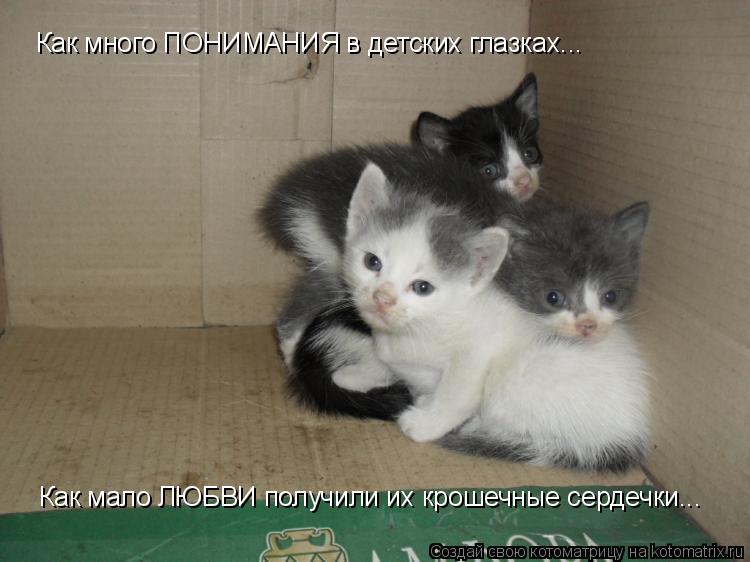 Котоматрица: Как много ПОНИМАНИЯ в детских глазках... Как мало ЛЮБВИ получили их крошечные сердечки...
