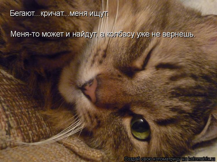 Котоматрица: Бегают...кричат...меня ищут. Меня-то может и найдут, а колбасу уже не вернешь.