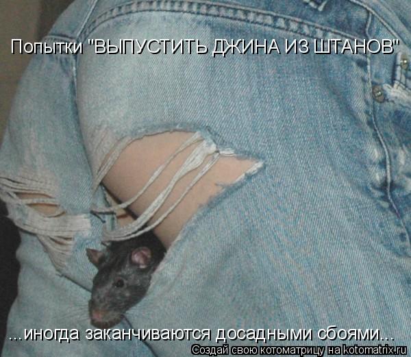 Котоматрица: Попытки "ВЫПУСТИТЬ ДЖИНА ИЗ ШТАНОВ" ...иногда заканчиваются досадными сбоями...