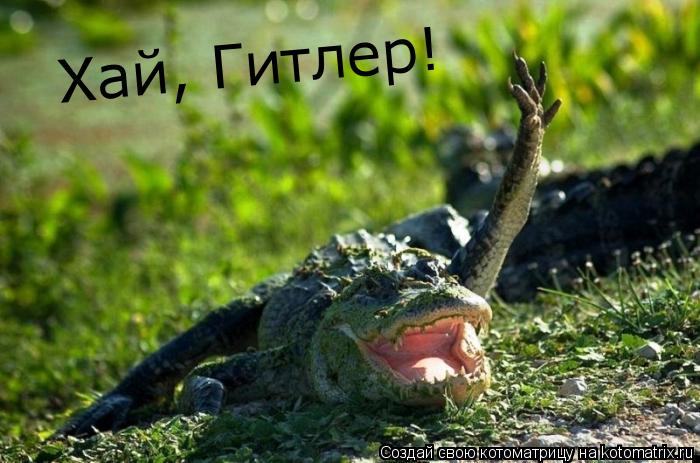 Котоматрица: Хай, Гитлер!