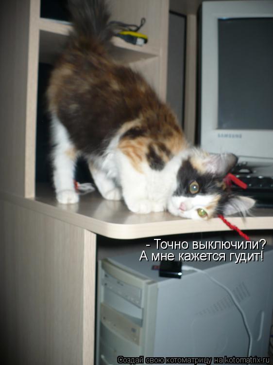 Котоматрица: - Точно выключили? А мне кажется гудит!
