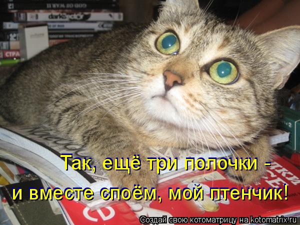 Котоматрица: Так, ещё три полочки - и вместе споём, мой птенчик! и вместе споём, мой птенчик! Так, ещё три полочки -