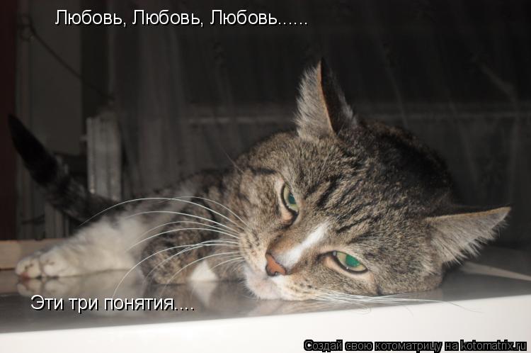 Котоматрица: Любовь, Любовь, Любовь...... Эти три понятия....